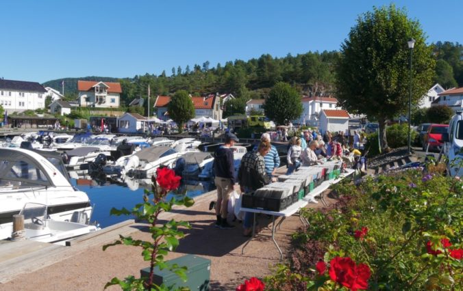 Holmsbudagen