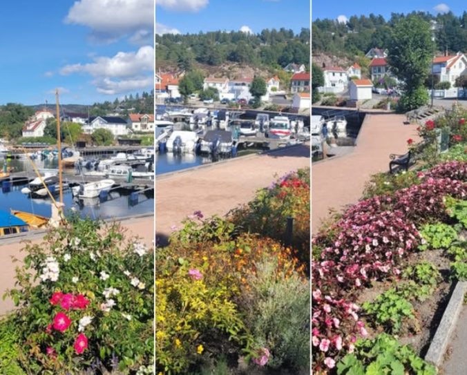 Blomster